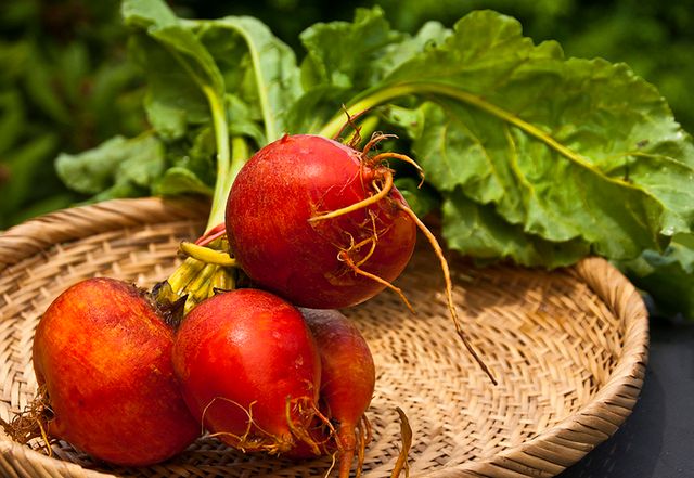Buraki wykazują działanie krwiotwórcze