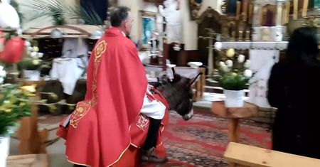 Ksiądz z Dolnego Śląska wjechał na ośle. Posypały się soczyste komentarze