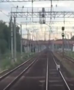Nastolatka chciała rzucić się pod pociąg. Wyhamował w ostatniej chwili. Wstrząsające nagranie