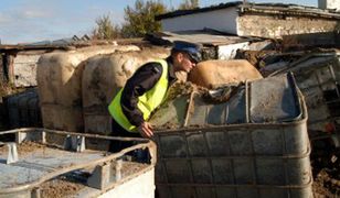 Paliwo kradzione prosto z rurociągu