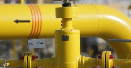 "Wstrzymajcie budowę Nord Stream 2", apeluje ambasador USA w Niemczech