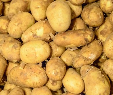 Oszukują polskich rolników. Tracą też klienci. Nie daj się nabrać na ziemniaczany przekręt