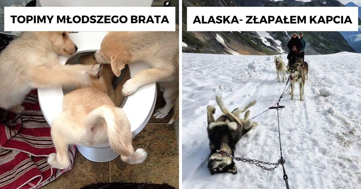 Obrazek