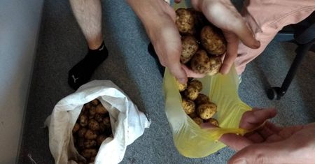 Pan Kanapka to już przeżytek. Teraz pora na Pana Ziemniaka