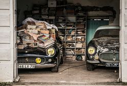 W szopach odkryli 60 aut za kilkadziesiąt mln zł. Niesamowite znalezisko