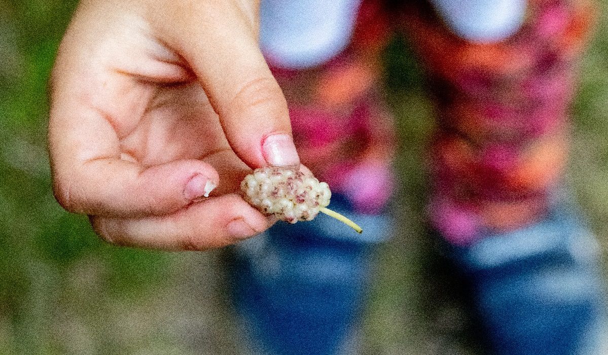 Pij regularnie a kilogramy będą lecie�ć, jak szalone. To najzdrowszy sposób na odchudzanie