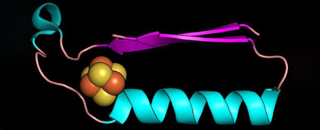 Naukowcy mogli odkryć kształt pierwszych białek, które zapoczątkowały życie