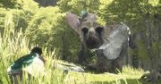 O The Last Guardian i dążeniu do ponadczasowości
