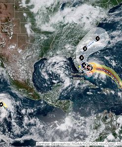 Pogoda. Huragan Dorian zabił już pięć osób. Potężna burza coraz bliżej USA