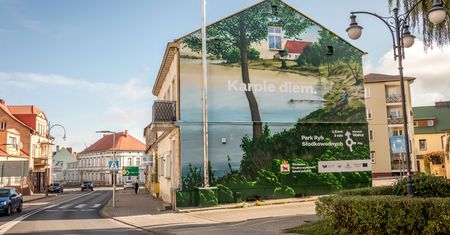 Mural: Karpie diem. w Trzciance