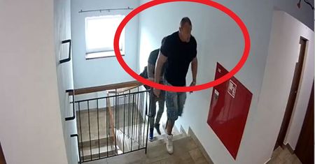"Nalot" Pudzianowskiego na hostel. Po publikacjach money.pl, sąd staje po stronie przedsiębiorcy