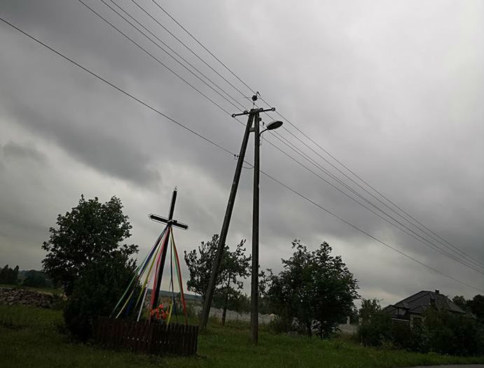 Bocian biały przebity strzałą. W Wilczkowicach zauważono ptaka z "makabryczną pamiątką"