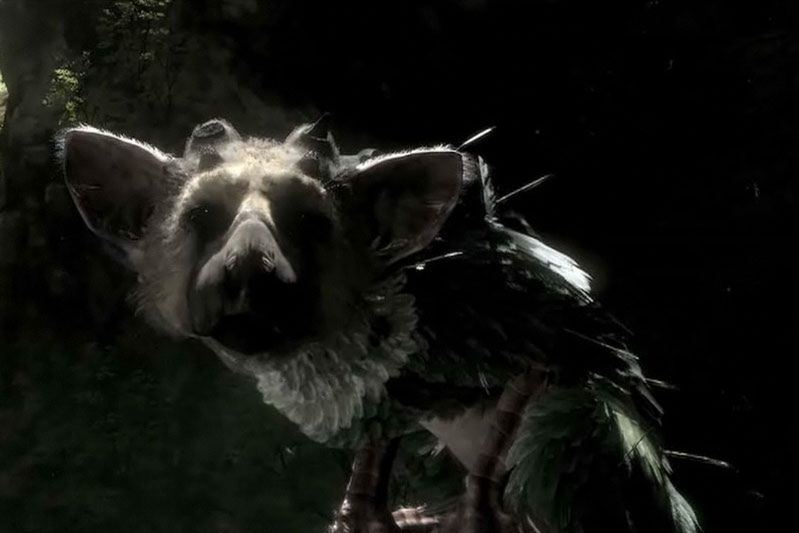 The Last Guardian żyje! I ma się doskonale