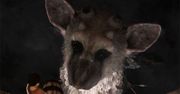 &quot;Last Guardian ciągle zmierza na PS3&quot; Czy tytuł &quot;największego nieobecnego targów&quot; wciąż się tej grze należy?