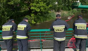 Usuwanie awarii przepompowni ścieków w Gdańsku trwa. Napowietrzacz na ratunek wodnej faunie