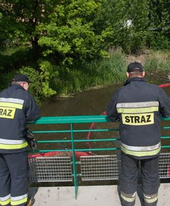 Usuwanie awarii przepompowni ścieków w Gdańsku trwa. Napowietrzacz na ratunek wodnej faunie