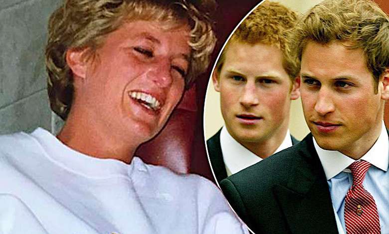 Księżna Diana, Harry i William