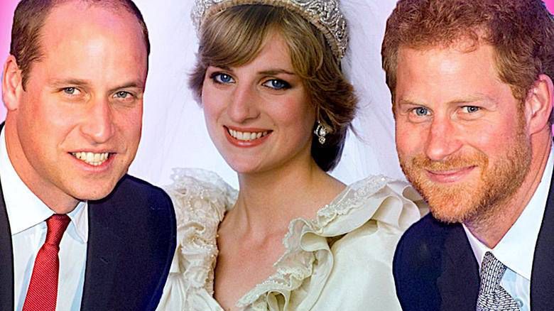 Księżna Diana, William, Harry