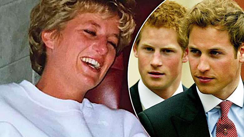 Księżna Diana, Harry i William