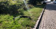 "Dzień zrujnowany przez zwykłą hulajnogę". Użytkownicy łamią przepisy i nie dbają o sprzęt