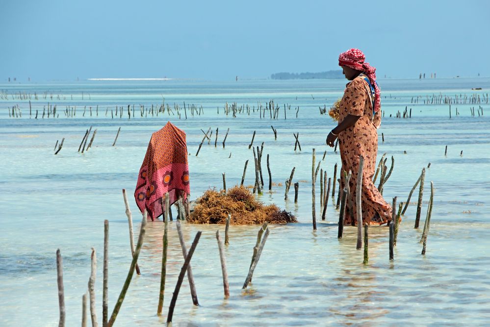 Zmysłowy Zanzibar. Gdzie afrykańska żywiołowość i muzułmańska pokora idą w parze