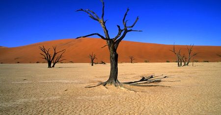 Namibia - Afryka dla początkujących