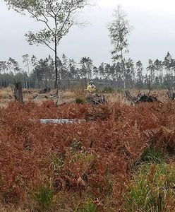 Kuźnia Raciborska. Wybuch bomby, nie żyje dwóch saperów