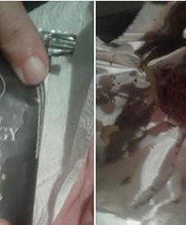 Robaki w batonie Lewandowskiej. Producent przekąski i sklep odpowiadają [AKTUALIZACJA]