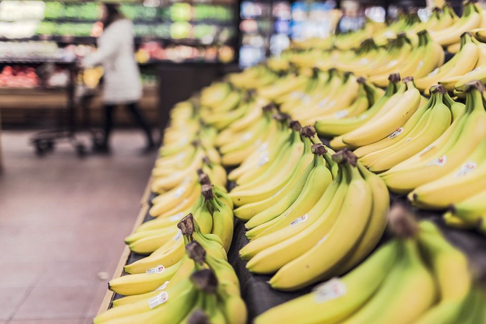 Egzotyczny pająk w bananach. Market dementuje: "Rękawiczki nic by tu nie pomogły"