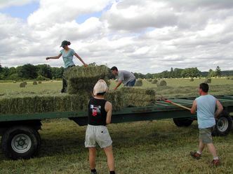 Praca tymczasowa. Coraz trudniej o chętnych, Ukraińcy nie wystarczają