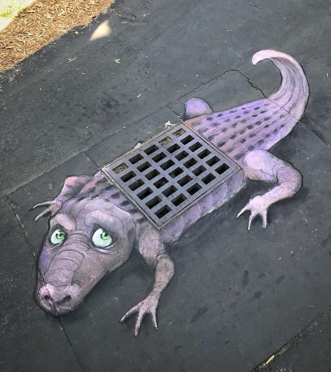 © davidzinn/Instagram