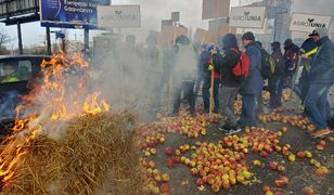 Protest rolników w Warszawie. Świńskie łby na ulicy