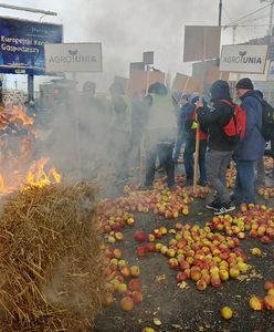 Protest rolników w Warszawie. Świńskie łby na ulicy