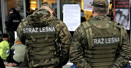 Wstrząsające doniesienia o zachowaniu strażników leśnych. "Są bezkarni"