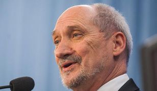 Kellermann: polski minister obrony Antoni Macierewicz wprowadza chaos