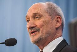 Kellermann: polski minister obrony Antoni Macierewicz wprowadza chaos