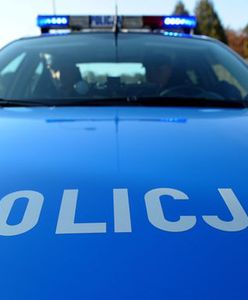 Pirat drogowy poniesie tylko część kary