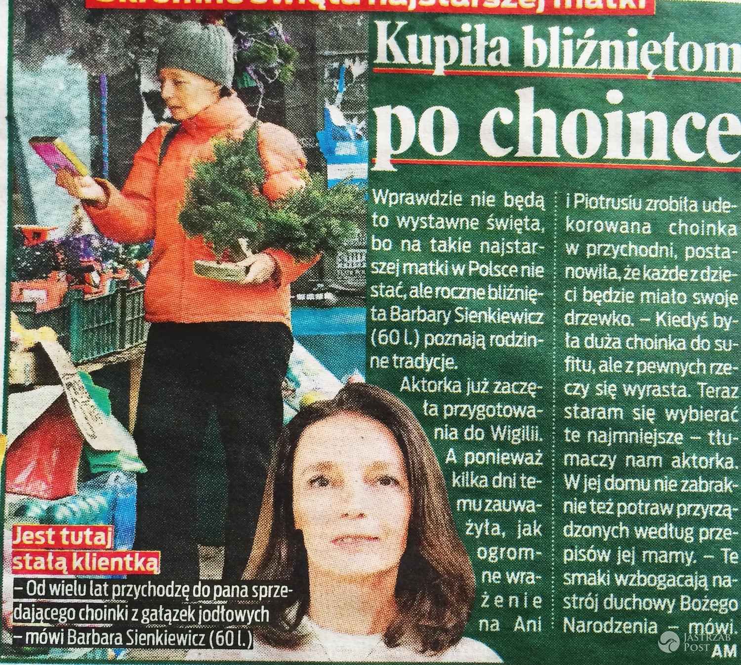 Barbara Sienkiewicz kupuje choinki