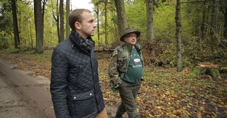 Tak Jan Szyszko niszczy Puszczę Białowieską. Widzieliśmy to na własne oczy