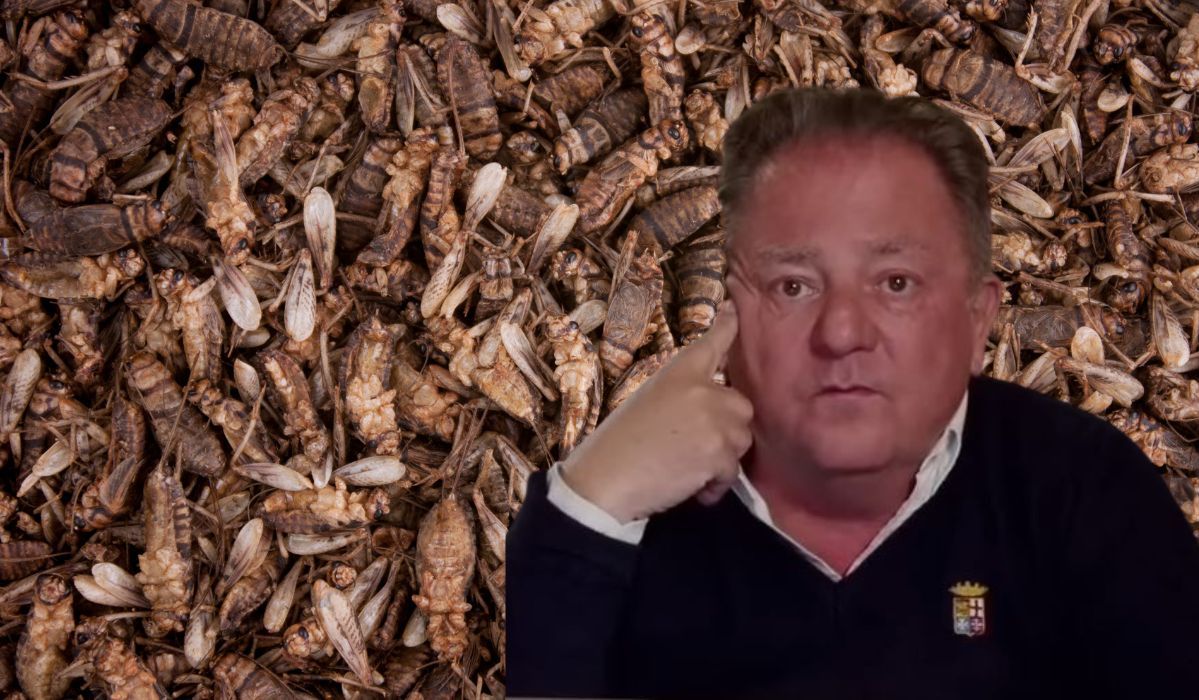Robert Makłowicz ocenił jedzenie robaków. Takiej odpowiedzi chyba nikt się nie spodziewał