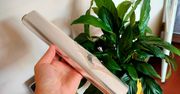 Włóż kawałek folii aluminiowej do doniczki. Rośliny już nie będą się męczyć