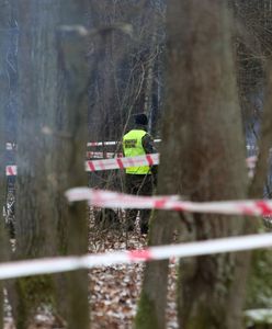 Katastrofa MiG-29. Zawinił pilot?