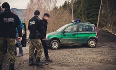 Ściął drzewo siekierą i przeszedł na nim do Polski. Irakijczyk zatrzymany na granicy