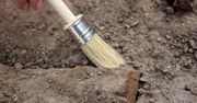 Starożytny cmentarz w Bejscach. Archeolodzy odkryli groby wojowników