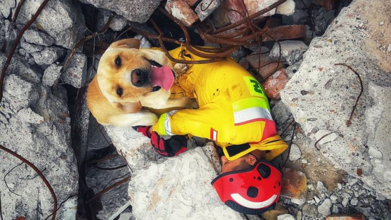 Frodo, pies strażak