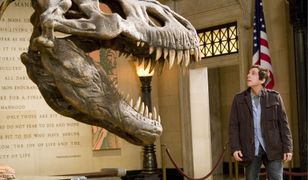 Program TV na sobotę – "Noc w muzeum: Tajemnica grobowca", "Och, życie", "Dziewczyna mojego kumpla" [23-02-2019]