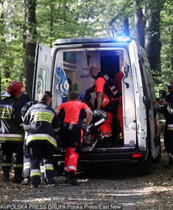 13-latek przygnieciony konarem. Walczy o życie