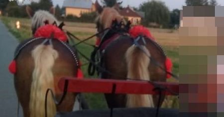 Lubelskie. Pijany woźnica potrącił kobietę i uciekł z miejsca wypadku