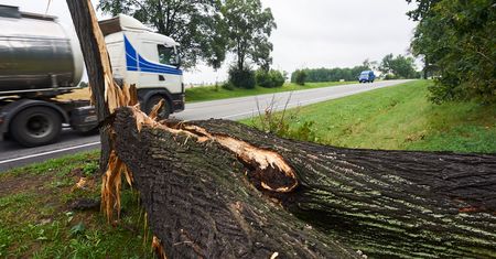 Wzrasta liczba ofiar śmiertelnych spowodowanych nawałnicą. Kolejna osoba zmarła przygnieciona przez drzewo.