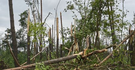 31 mln zł dla poszkodowanych w nawałnicach